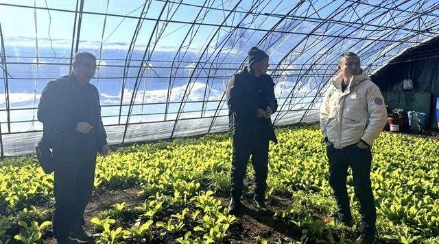 發(fā)展生態(tài)農(nóng)業(yè)<strong></p>
<p>生態(tài)農(nóng)業(yè)
</strong>，打造特色品牌:生態(tài)農(nóng)業(yè)
