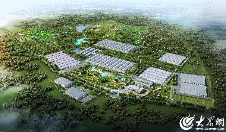 臨朐中新振榮：智慧畜牧賦能生態(tài)農(nóng)業(yè)發(fā)展實(shí)踐:生態(tài)農(nóng)業(yè)
