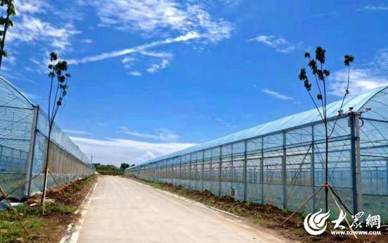 臨朐中新振榮：智慧畜牧賦能生態(tài)農(nóng)業(yè)發(fā)展實(shí)踐:生態(tài)農(nóng)業(yè)
