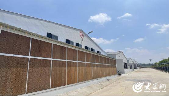 臨朐中新振榮：智慧畜牧賦能生態(tài)農(nóng)業(yè)發(fā)展實(shí)踐:生態(tài)農(nóng)業(yè)
