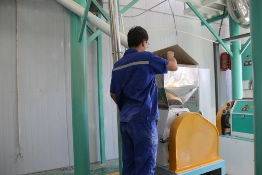 濰坊坊子:打造生態(tài)農(nóng)業(yè)綠色發(fā)展新路徑:生態(tài)農(nóng)業(yè)