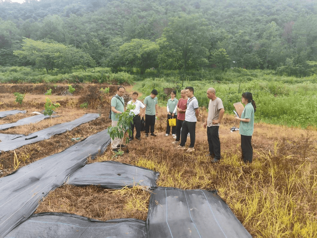 以蚓為媒<strong></p>
<p>生態(tài)農(nóng)業(yè)
</strong>，賦能興農(nóng)！華農(nóng)團隊為陽山嶺背鎮(zhèn)生態(tài)農(nóng)業(yè)辟新路:生態(tài)農(nóng)業(yè)
