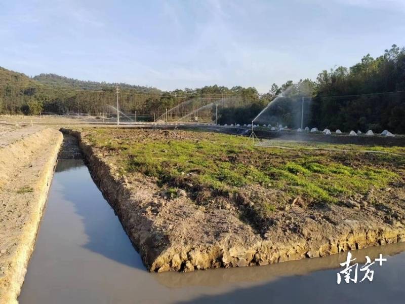 順德幫扶經(jīng)驗(yàn)綻放新花:幫扶工作隊(duì)助力稔村鎮(zhèn)生態(tài)農(nóng)業(yè)項(xiàng)目發(fā)展:生態(tài)農(nóng)業(yè)