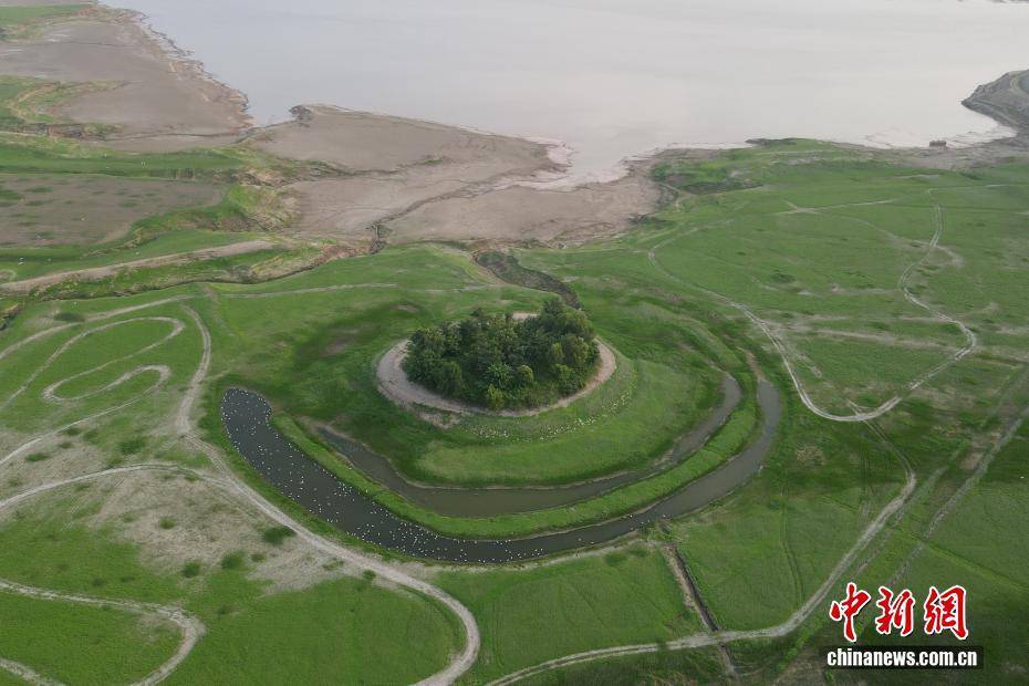 河南黃河三門峽庫(kù)區(qū)現(xiàn)“生態(tài)草原”景觀:生態(tài)景觀