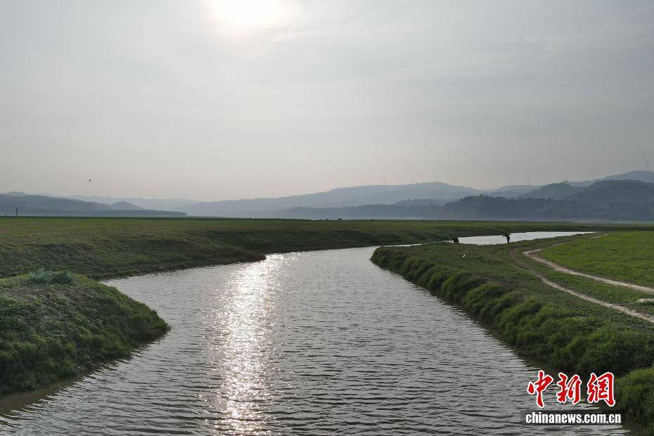 河南黃河三門峽庫(kù)區(qū)現(xiàn)“生態(tài)草原”景觀:生態(tài)景觀