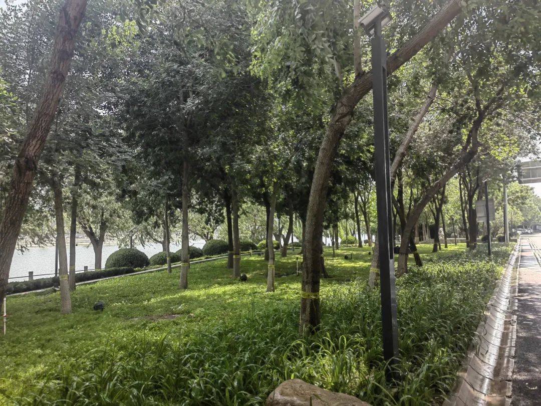 石家莊這一生態(tài)景觀帶煥新升級(jí)<strong></p>
<p>生態(tài)景觀
</strong>！:生態(tài)景觀
