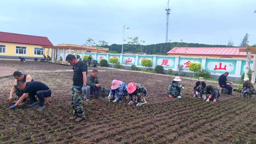 【生態(tài)立企】西平林場(chǎng)積極栽植花卉打造美麗林場(chǎng)新景觀:生態(tài)景觀